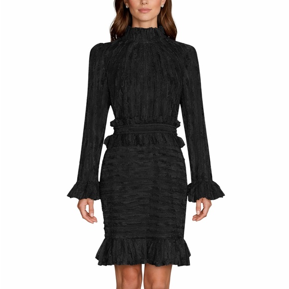 M Signature Label Collection Dresses & Skirts - Feathered Stunning Ruffle Dress The Alessea